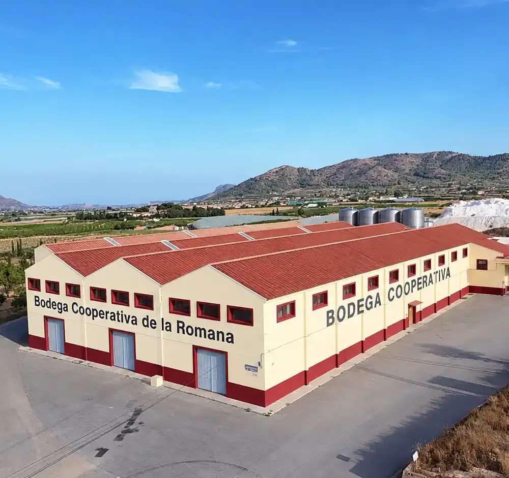 Wijngaarden van Bodega Cooperativa de La Romana, Alicante